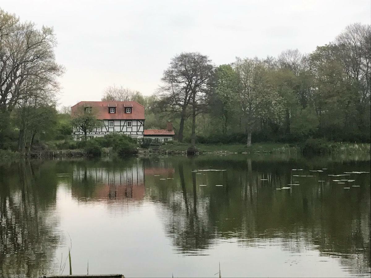 Ferienwohnung Hoppelnase Mit Eigener Sauna Langenstein ภายนอก รูปภาพ